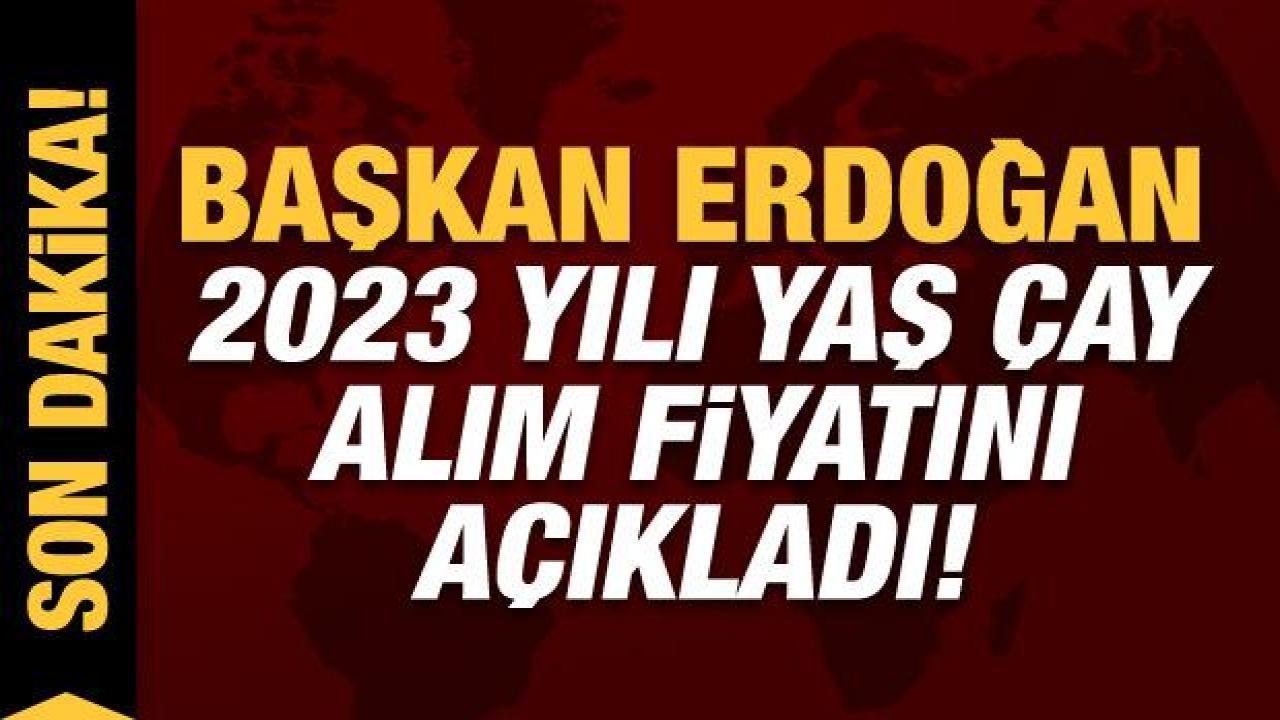 Cumhurbaşkanı Erdoğan'dan memleketi Rize'de son dakika açıklamalar