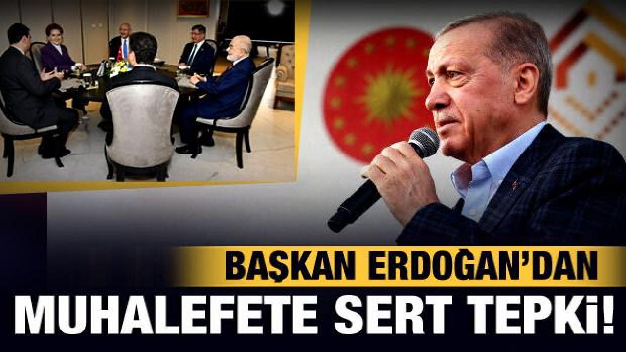 Cumhurbaşkanı Erdoğan'dan muhalefete '14 Mayıs' tepkisi!