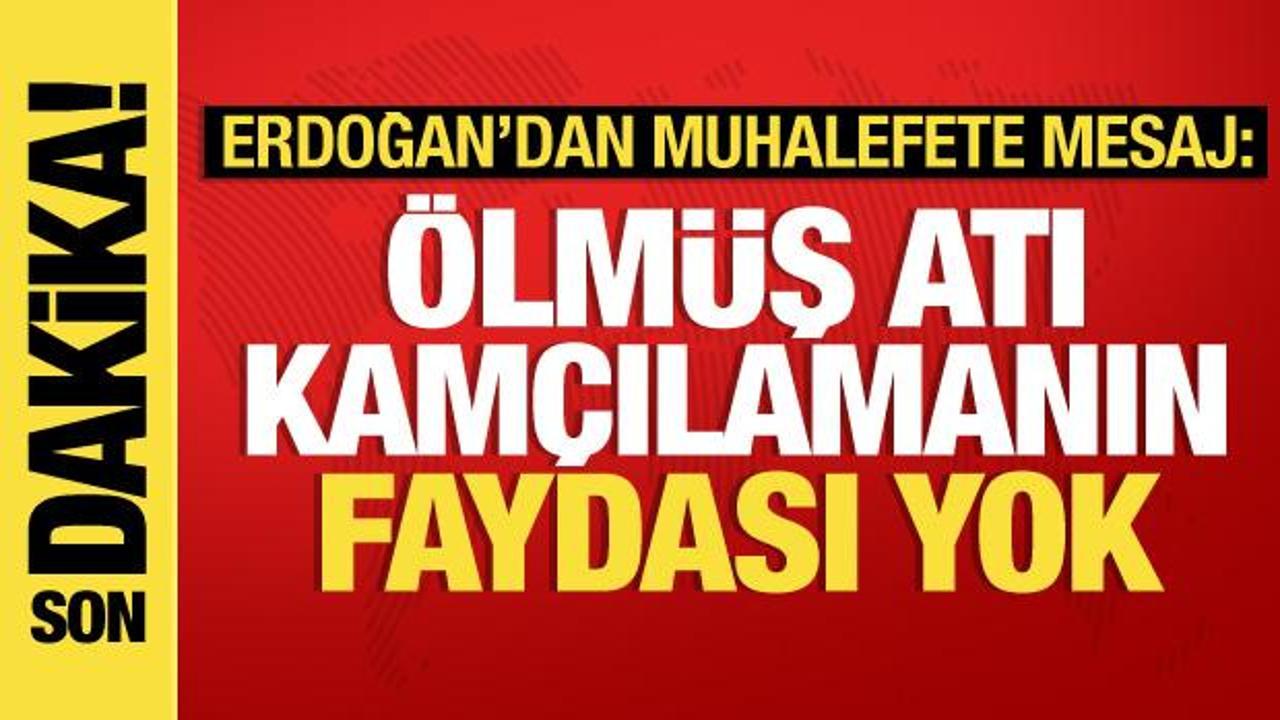 Cumhurbaşkanı Erdoğan'dan muhalefete: Ölmüş atı kamçılamanın faydası yok