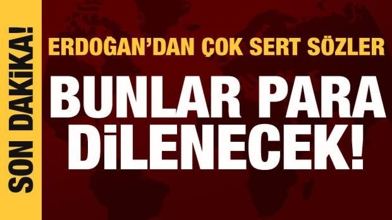 Cumhurbaşkanı Erdoğan'dan muhalefete tepki: Bunlar Avrupa'dan para dilenecek!
