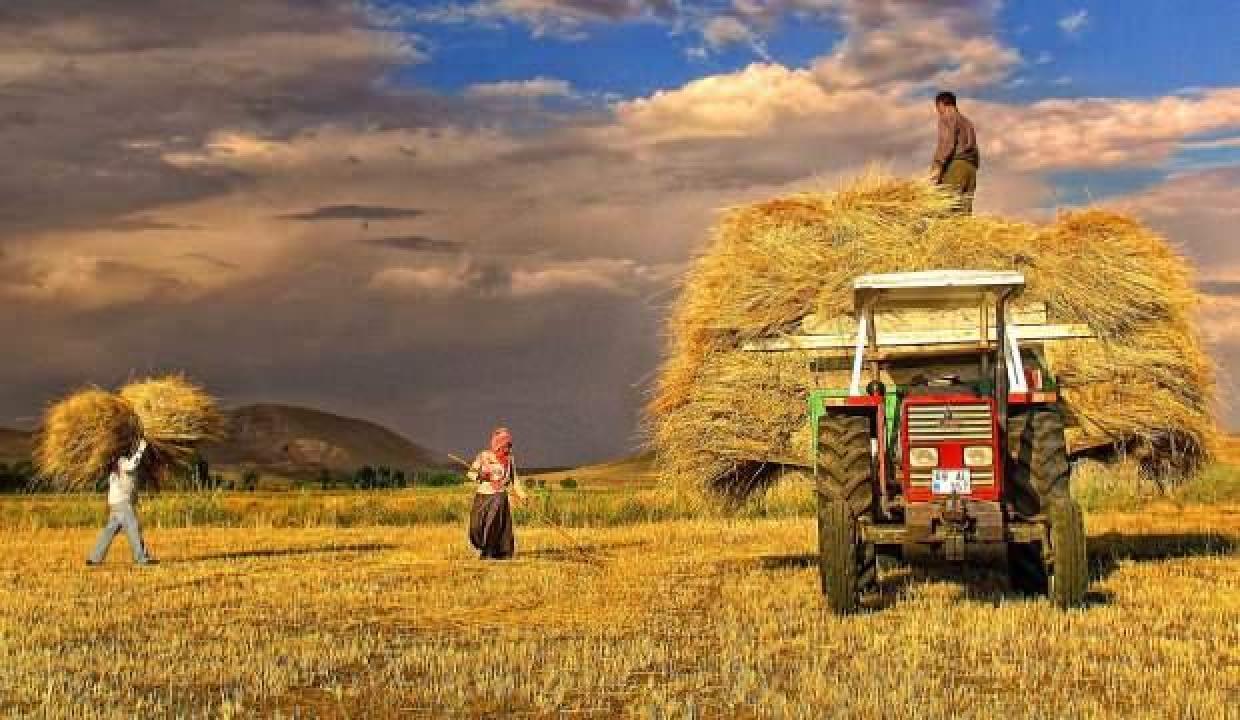 Cumhurbaşkanı’nın kararı çiftçileri sevindirdi