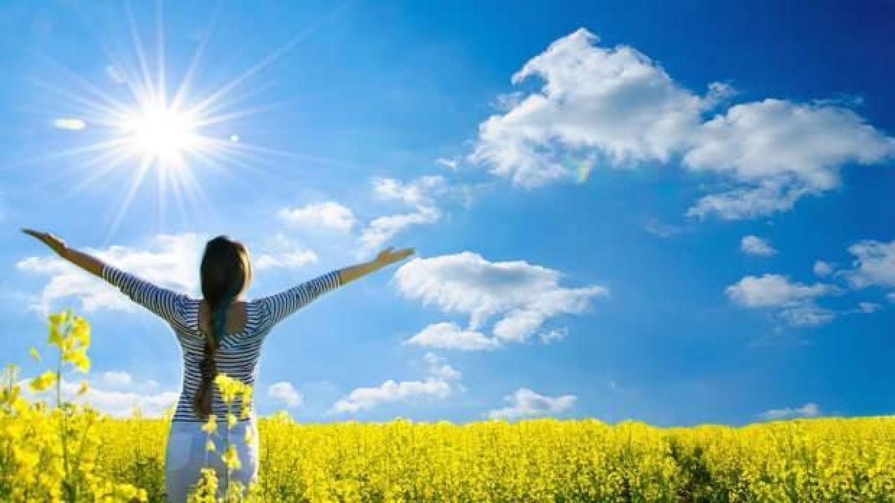 D vitamini eksikliği belirtileri nelerdir? Güneşten alınan D vitamini…