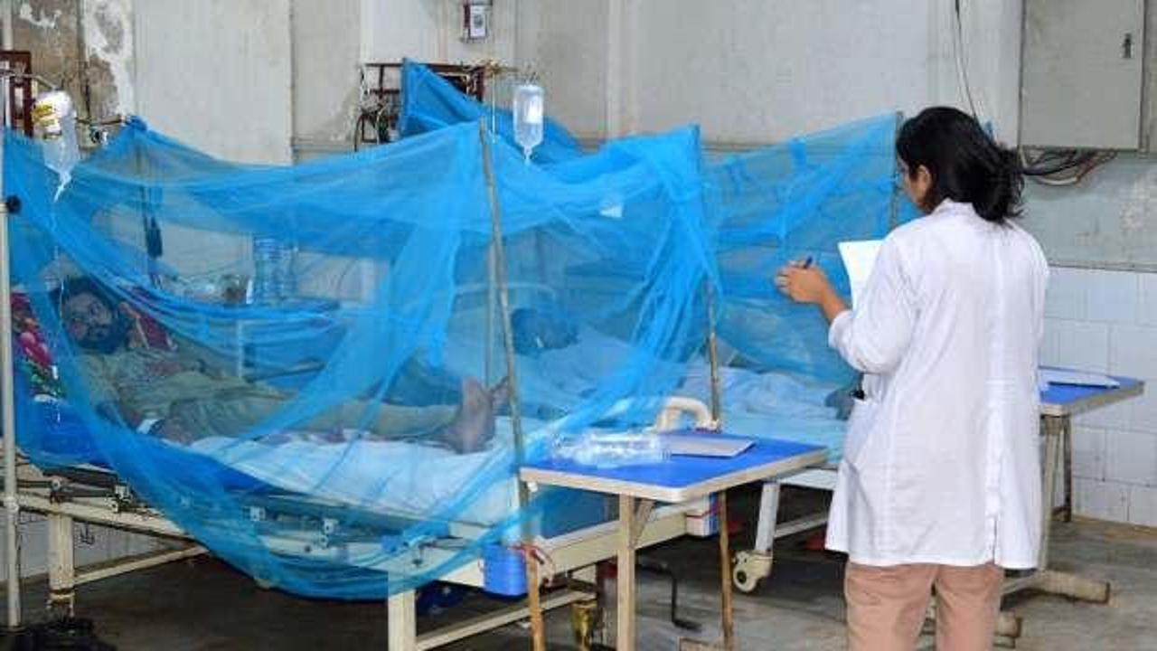 Dang hummasından ölenlerin sayısı 300'ü aştı