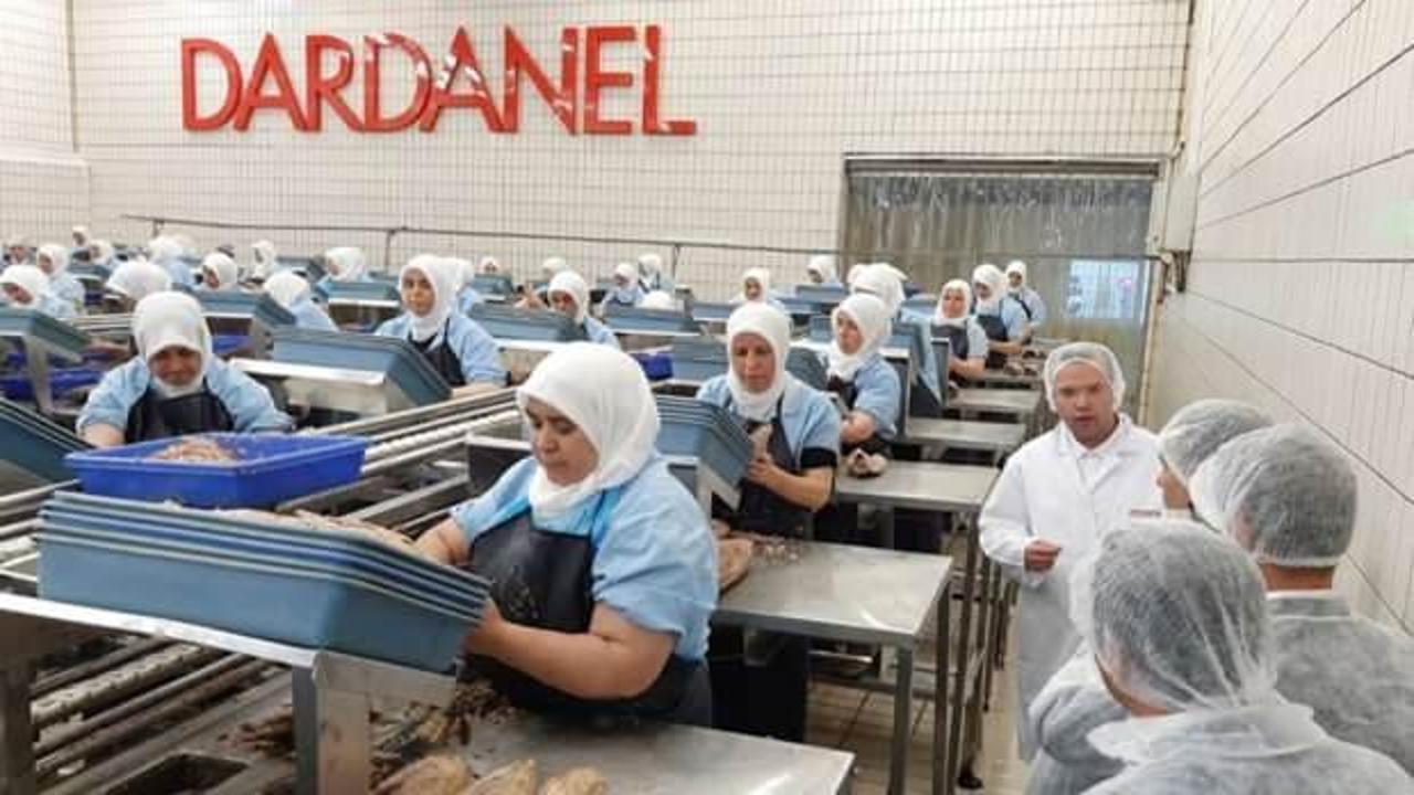 Dardanel yabancılara satılıyor