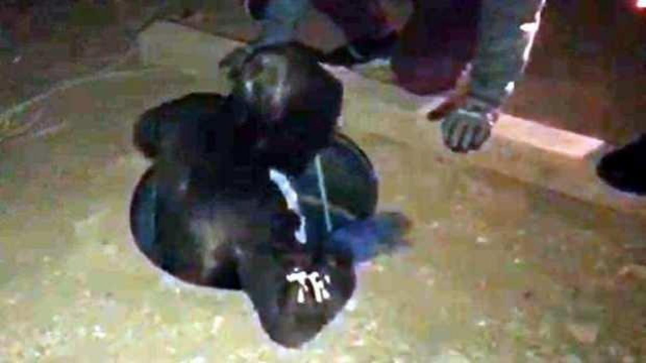 Define arayan şüpheliler, 14 metrelik çukurda yakalandı