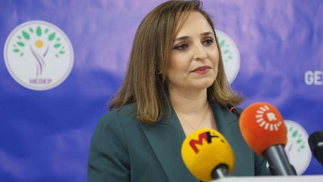 DEM Parti'den yeni Öcalan açıklaması!