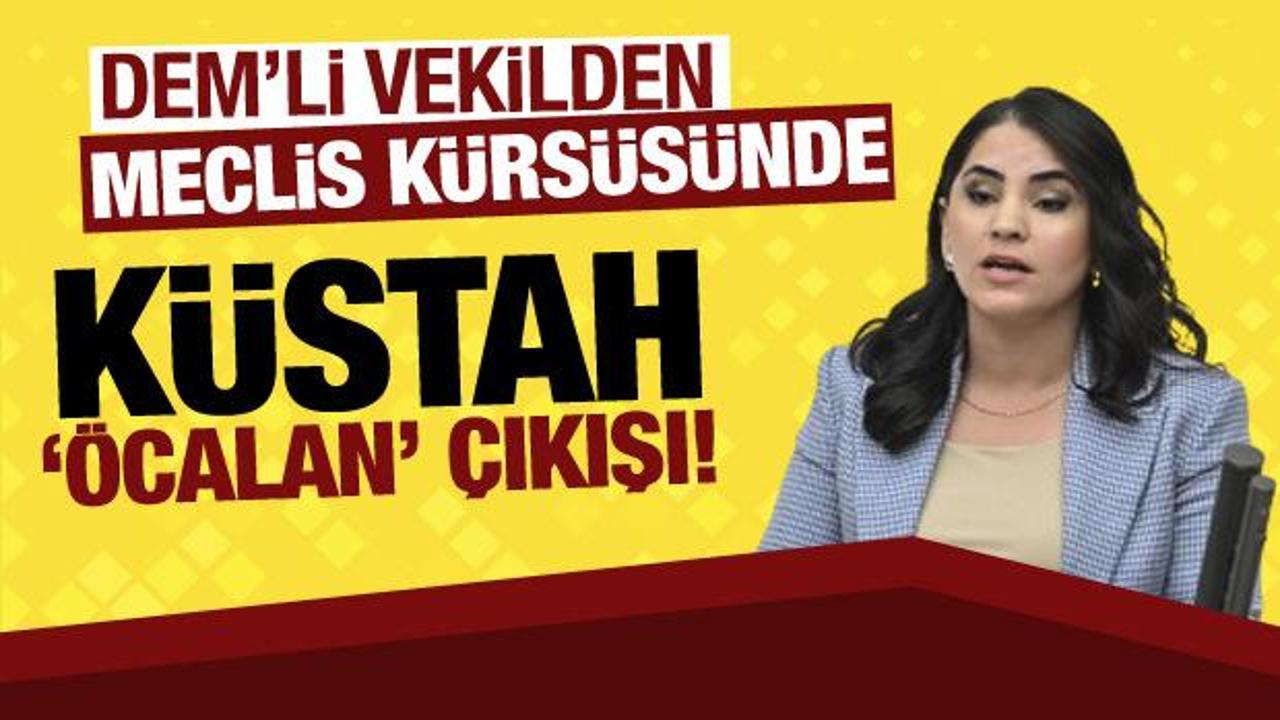 DEM Partili vekilden Meclis'te küstah sözler! 