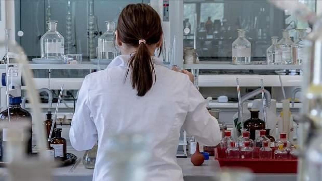 Deneylerde hayvan kullanımı azalabilir! Kök hücrelerden fare embriyosu üretildi