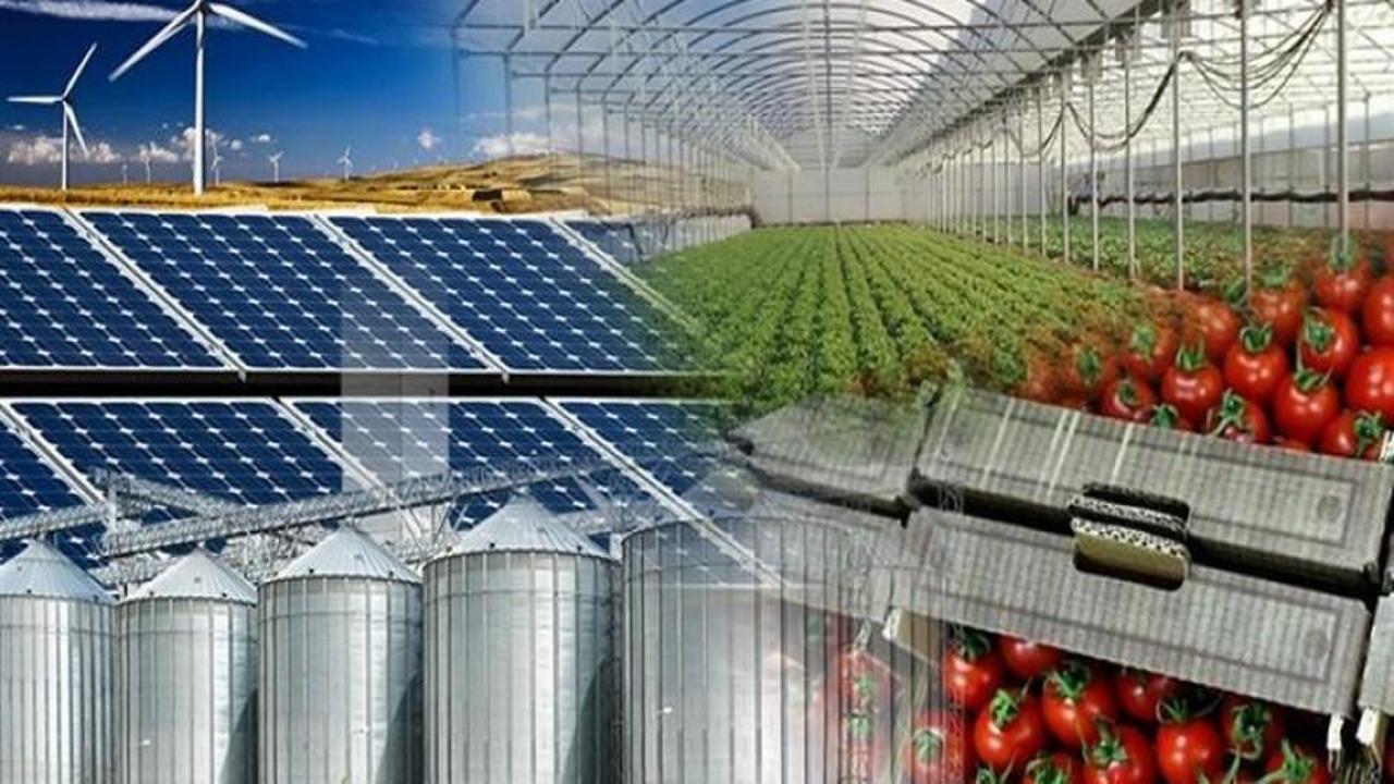 Denizli tarımında 68 projeye 58 milyonluk destek sağlanacak