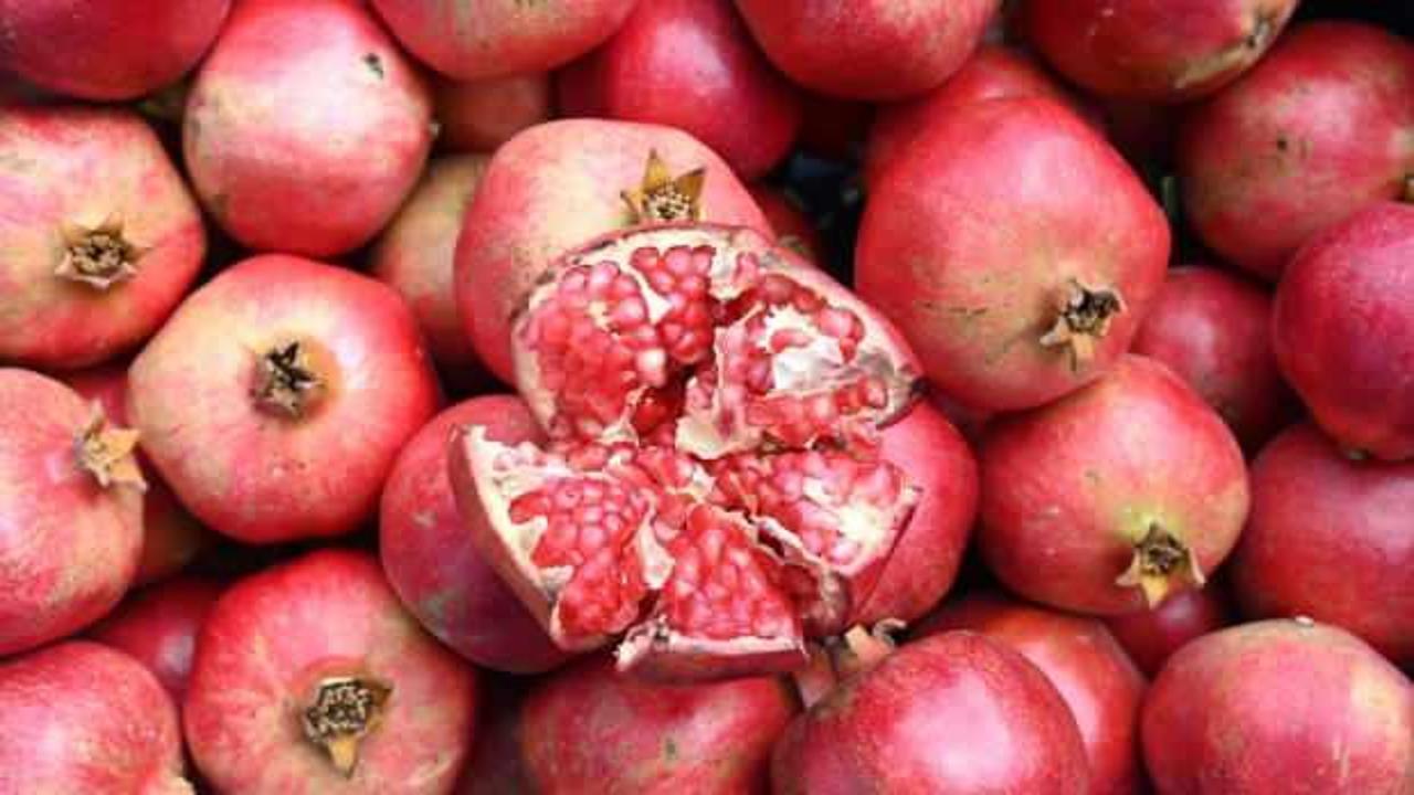 Denizli'de bu yıl 50 bin tonun üzerinde nar hasadı bekleniyor