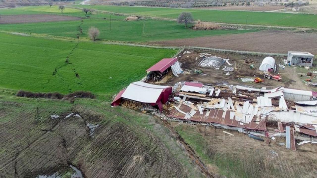Deprem bölgesinde tarım ve hayvancılıkta acilen yapılması gerekenler
