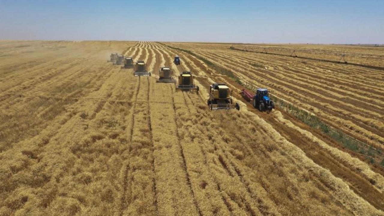 Deprem bölgesine 3,4 milyar liralık tarımsal destekleme ödemesi