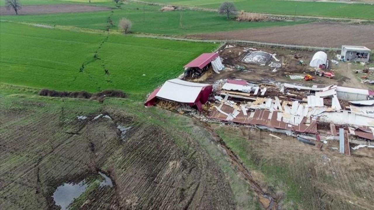 Depremin tarım sektörüne zararı belli oldu