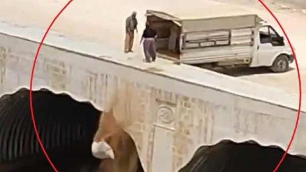 Dereye hayvan pisliği bırakırken görüntülendi; gözaltına alındı