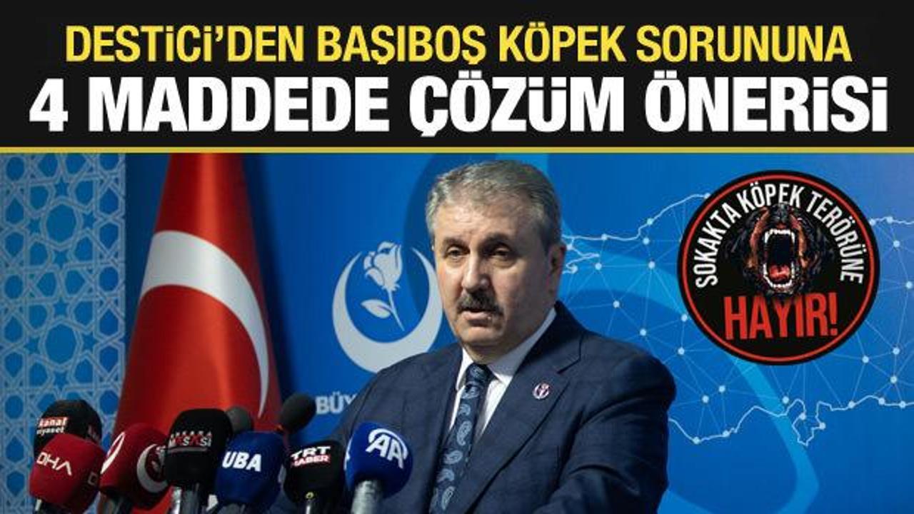 Destici'den başıboş köpek sorununa çözüm önerisi