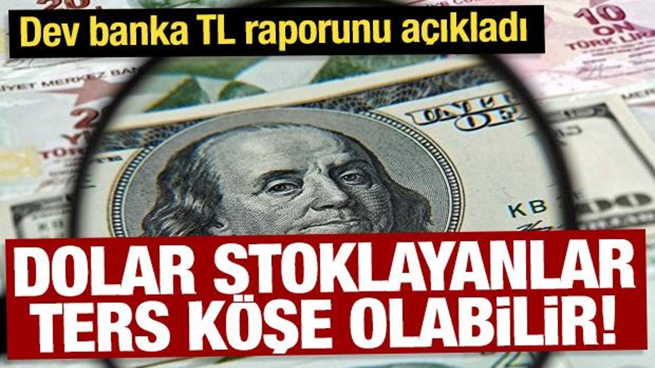 Dev bankadan dikkat çeken dolar tahmini: Yeni TL raporu açıklandı