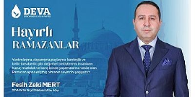 Deva Partisi Aday Adayı