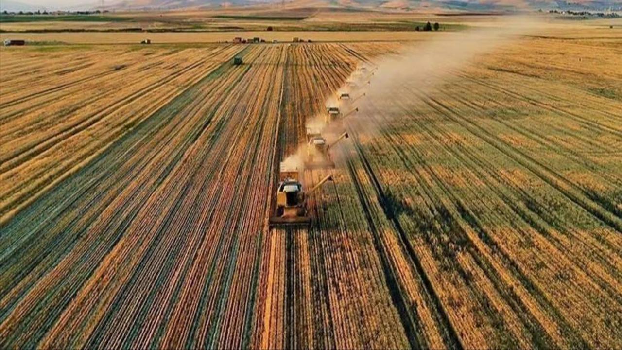 Devlet destekli tarım sigortalarında prim indirimi