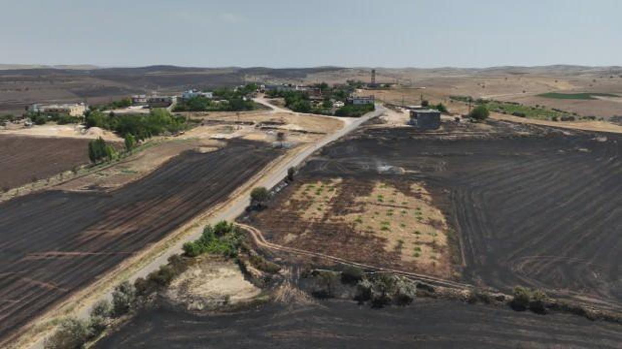 Diyarbakır-Mardin sınırındaki yangında ölü sayısı arttı