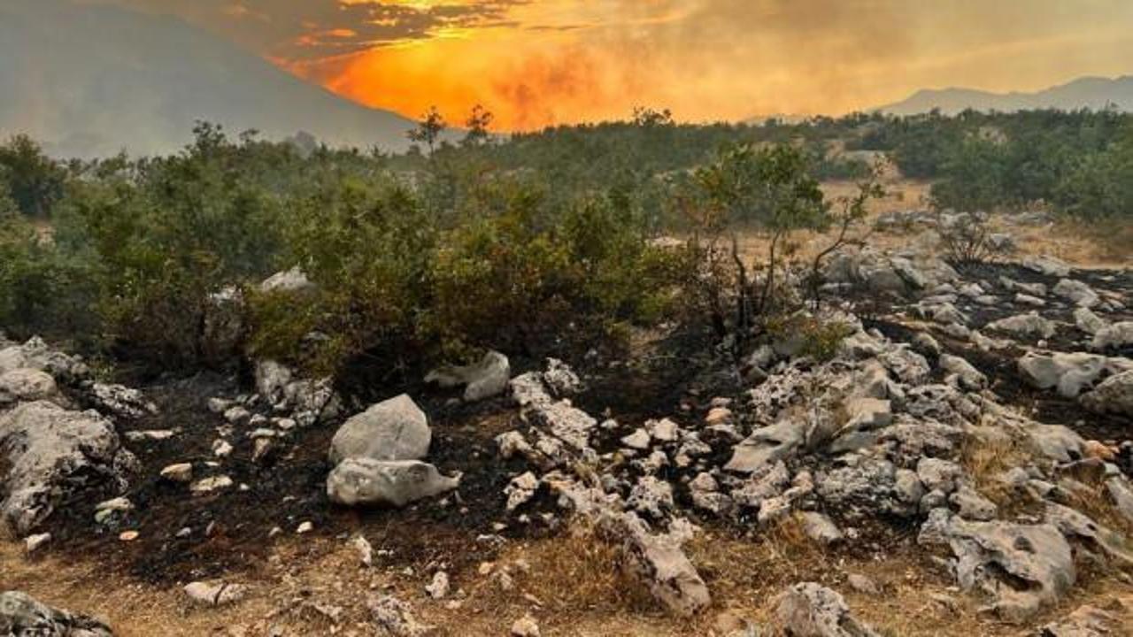Diyarbakır'daki orman yangını 24 saatte söndürüldü