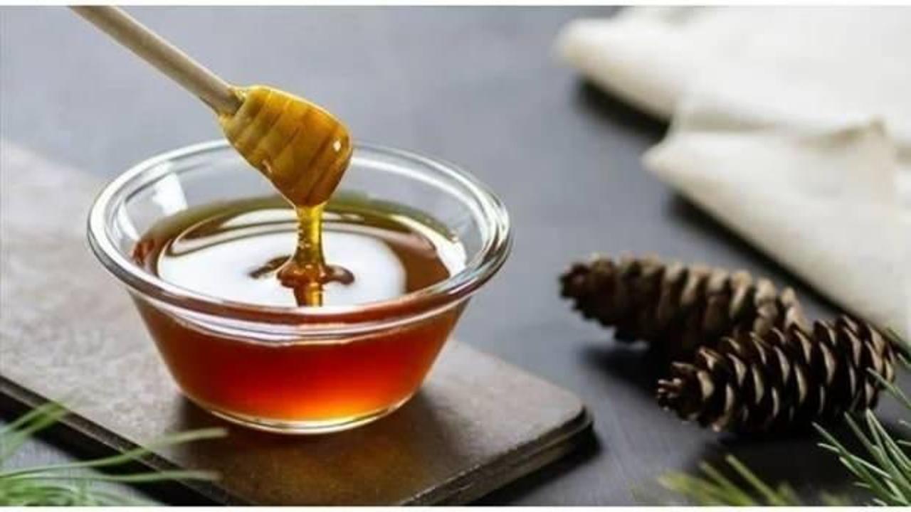 Doğu Karadeniz'den 8 ayda 11 ülkeye bal ihraç edildi