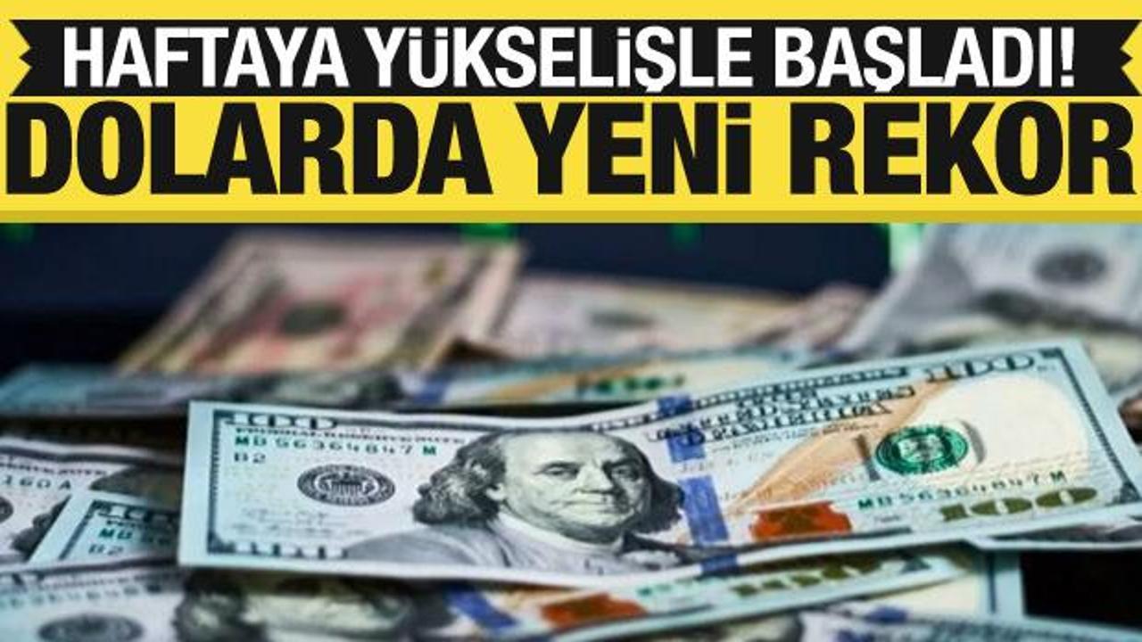 Dolar, Türk Lirası karşısında en yüksek seviyesini gördü