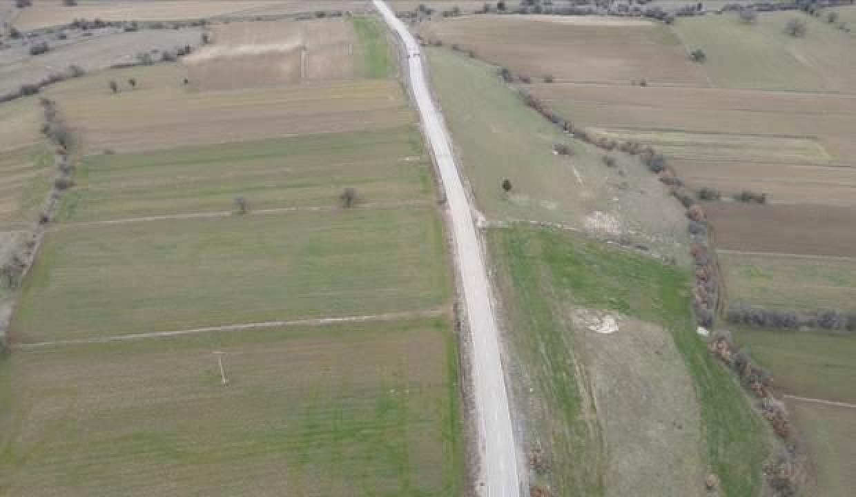 Domaniç çiftçisi yağlık ayçiçeğinde desteklemeyle ekim alanını genişletiyor