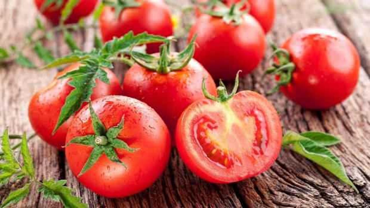 Domates ihracatı ilk yarıda 326 milyon dolar kazandırdı!