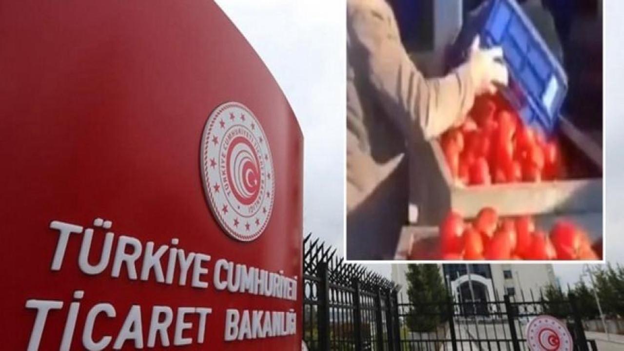 Domatesleri çöpe döken işletmeye ceza