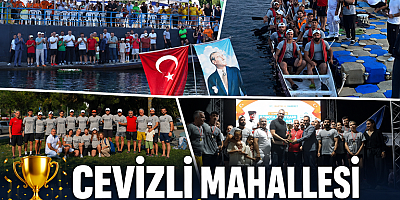 Dragon Botun Şampiyonu Cevizli