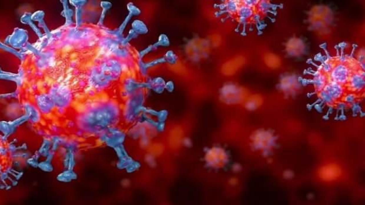 DSÖ: 110 ülkede artıyor, salgın henüz bitmedi