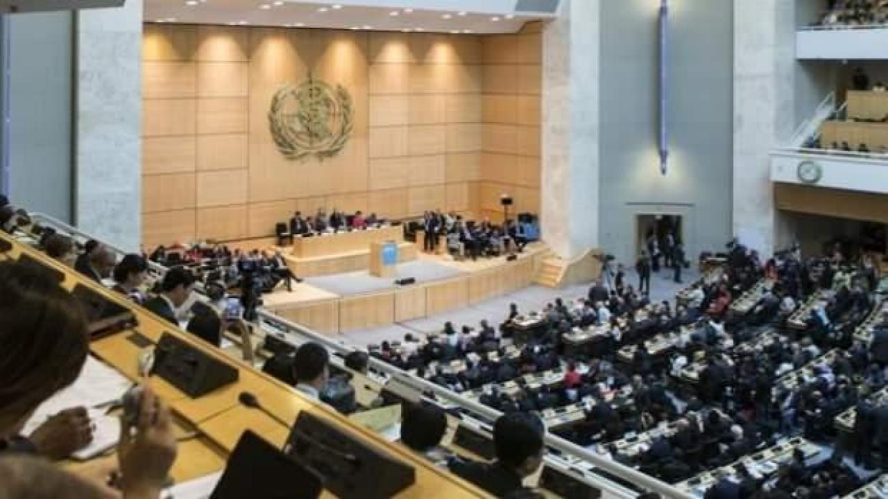 DSÖ 'maymun çiçeği' için toplandı: Küresel acil durum ilan edilecek mi?