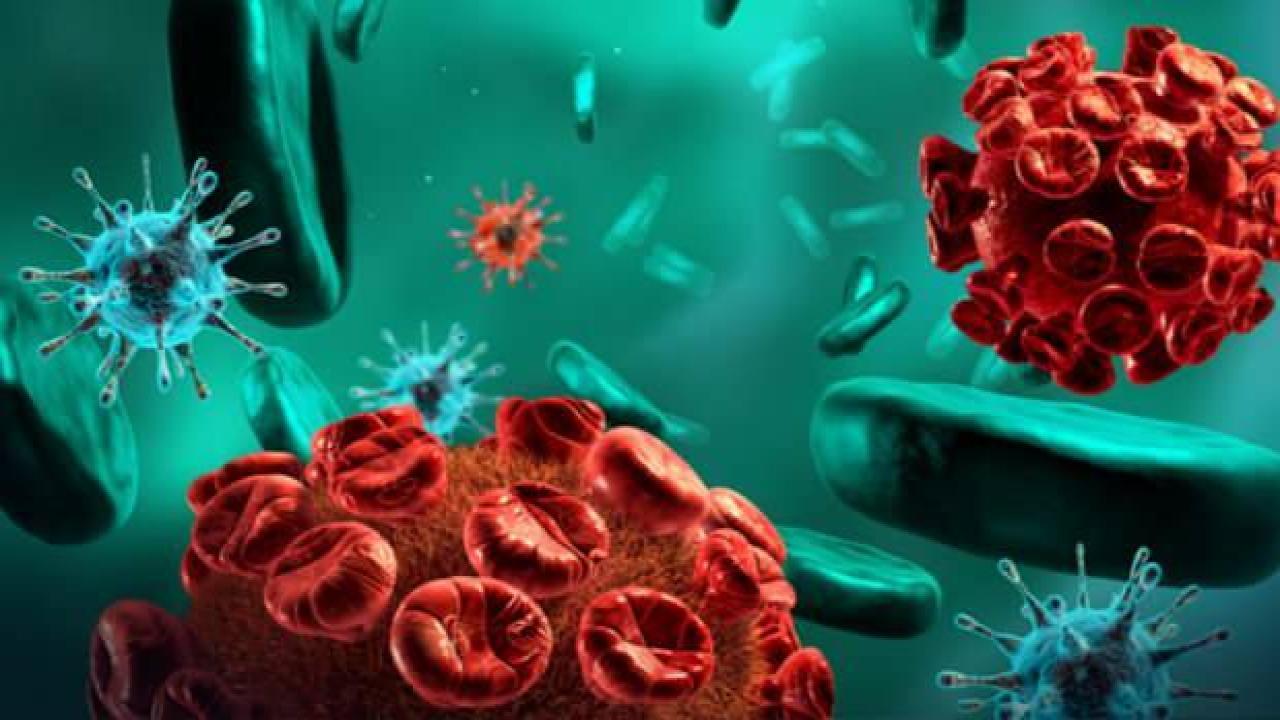 DSÖ son rakamları verdi: Gizemli hepatit 700, can kaybı: 10