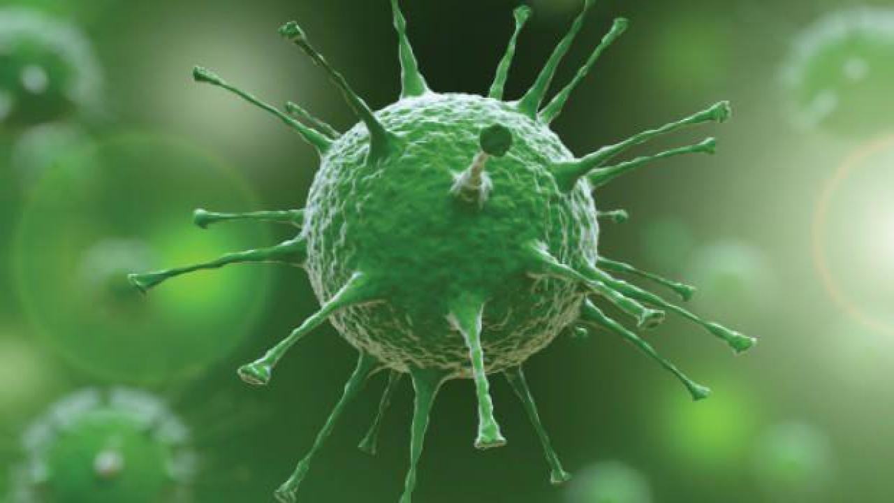 DSÖ'den gizemli hepatit belirtisi olanlara tavsiye