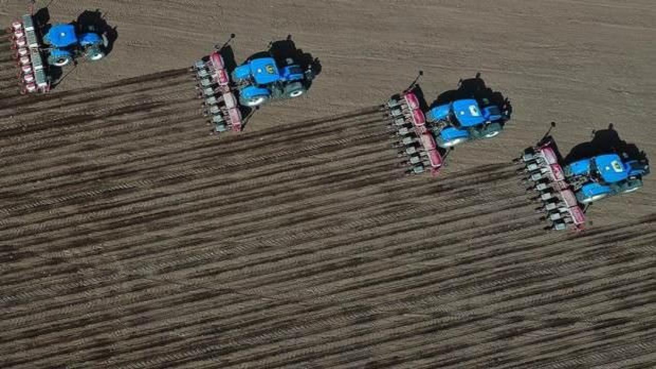 Dünya Tohumculuk Kongresi 2025'te İstanbul'da yapılacak