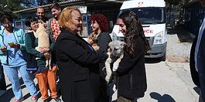 DÜNYA VETERİNER HEKİMLER GÜNÜ KUTLANDI