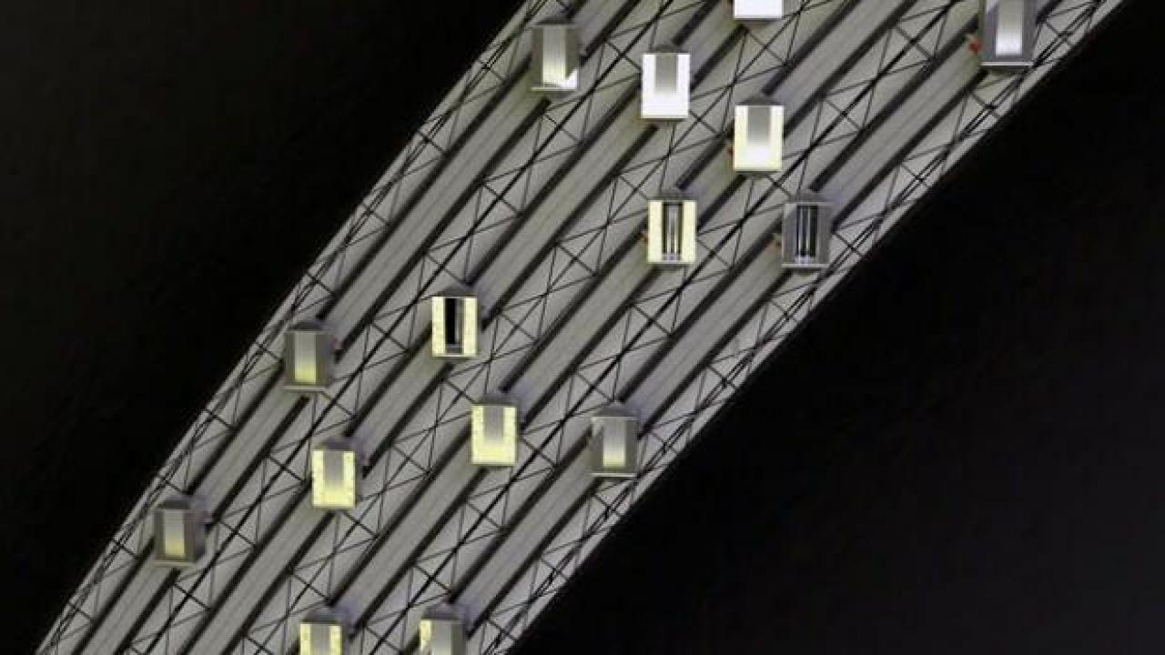 Dünyada ilk kez üretildi: Japonya'ya ihraç edilecek