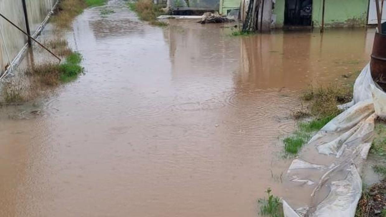 Düzce ve Yalova'da dere taştı! Zonguldak'ta heyelan meydana geldi: 2 kayıp