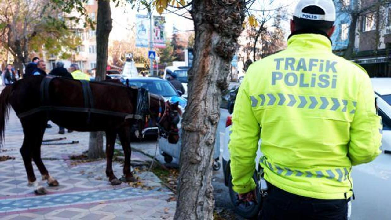 Edirne'de at şaşkınlığı! Kimse ne olduğunu anlayamadı