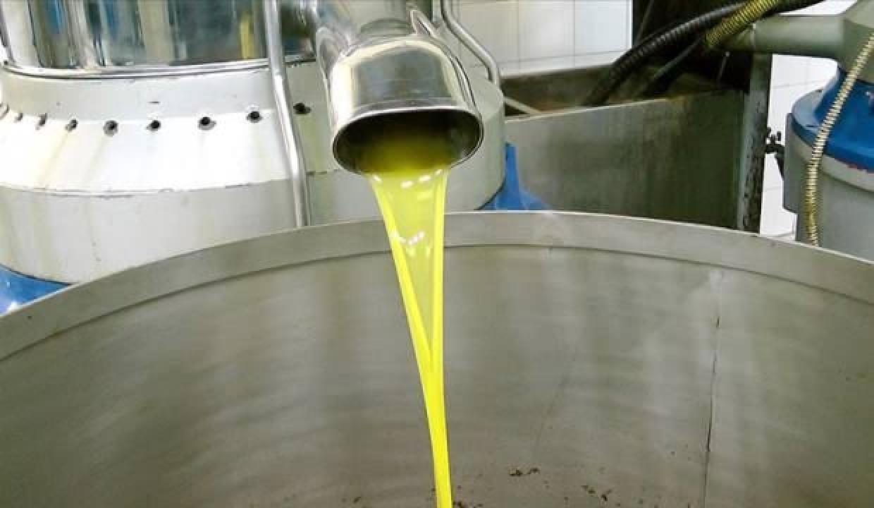 Edremit Körfezi'nde 