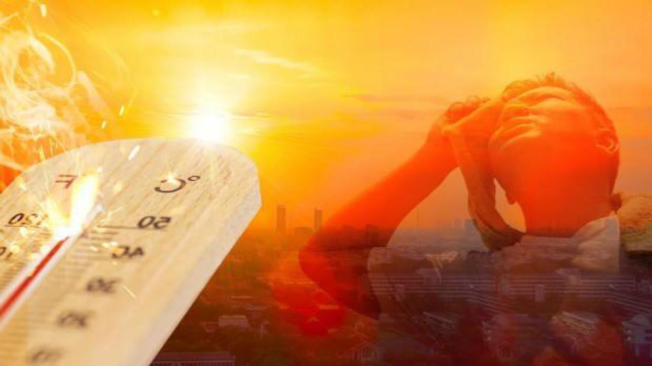 El Nino başladı! Dünyanın en sıcak yılı yaşanacak: Sıcaklık rekoru yaşanabilir!