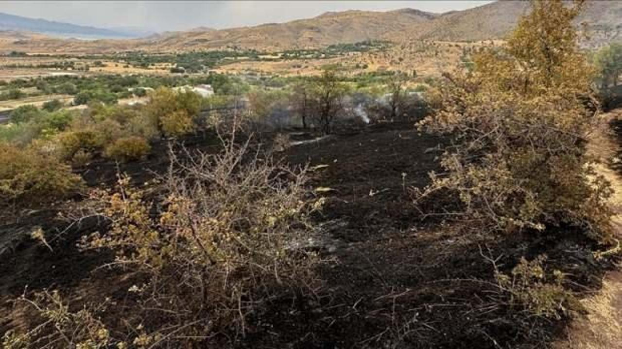 Elazığ’da çıkan yangında 150 dönüm tarım arazisi zarar gördü