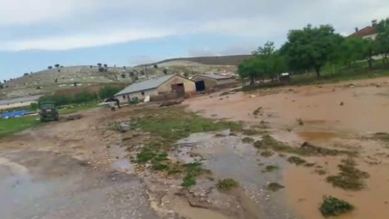 Elazığ'da korkunç olay: 200 küçükbaş hayvan öldü