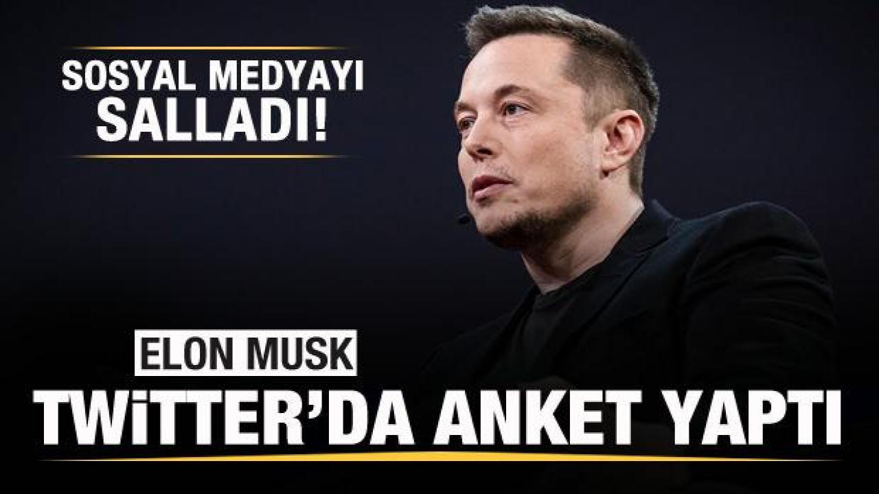 Elon Musk, Twitter'da anket yaptı! Sosyal medyayı salladı! İşte sonuç