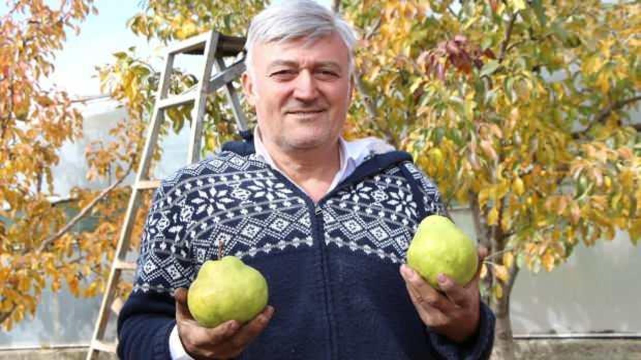Emekli asker doğduğu köyde çiftçiliğe başladı! 50 ton mahsul bekliyor