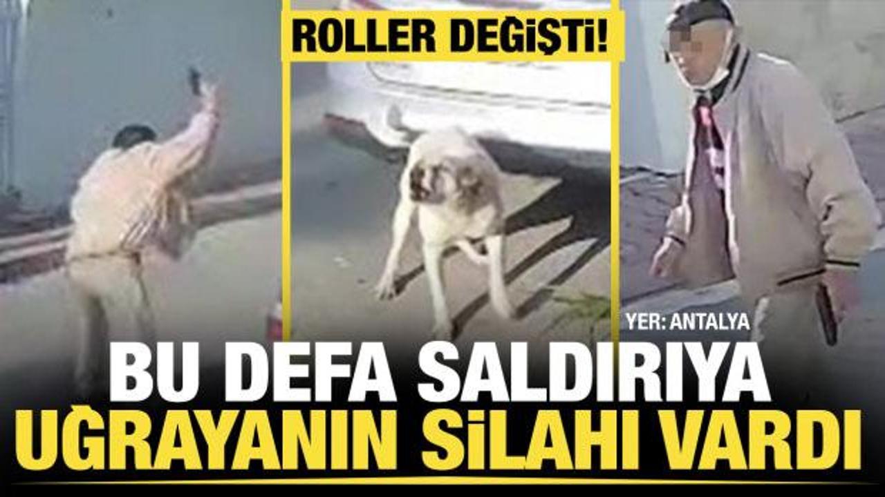 Emekli polis, kendisine saldıran köpeği vurdu