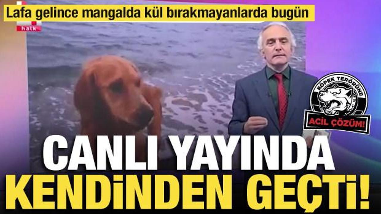 Emin Çapa sinirlerine hakim olamadı! Sokak köpeklerini savunurken kendini kaybetti