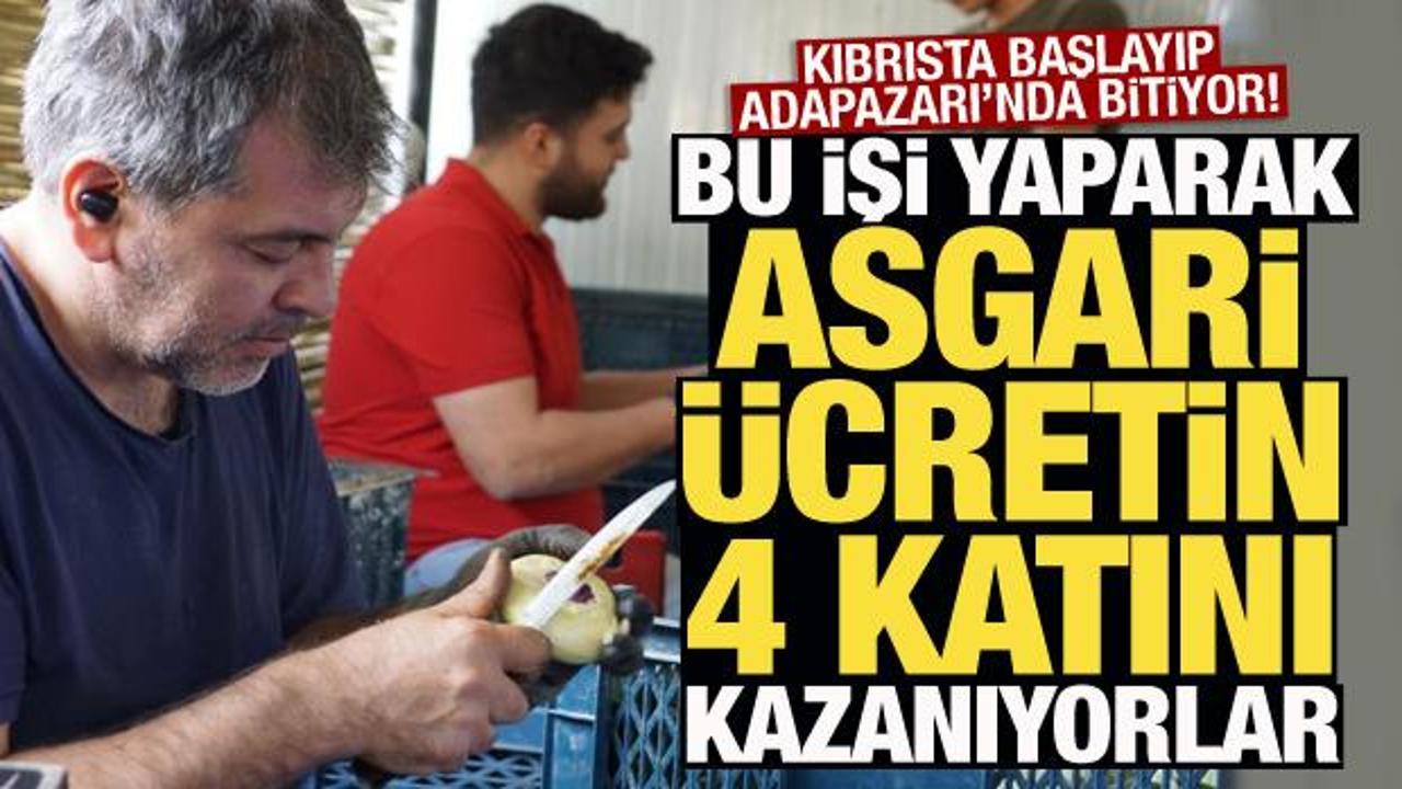 Enginar soyma ekibi: Asgari ücretin 4 katını kazanıyorlar