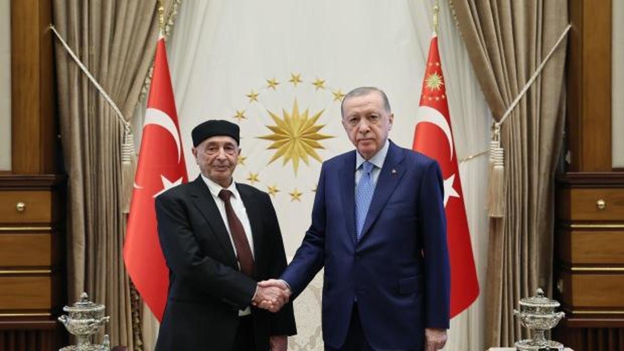 Erdoğan, Libya Temsilciler Meclisi Başkanı Salih'i kabul etti