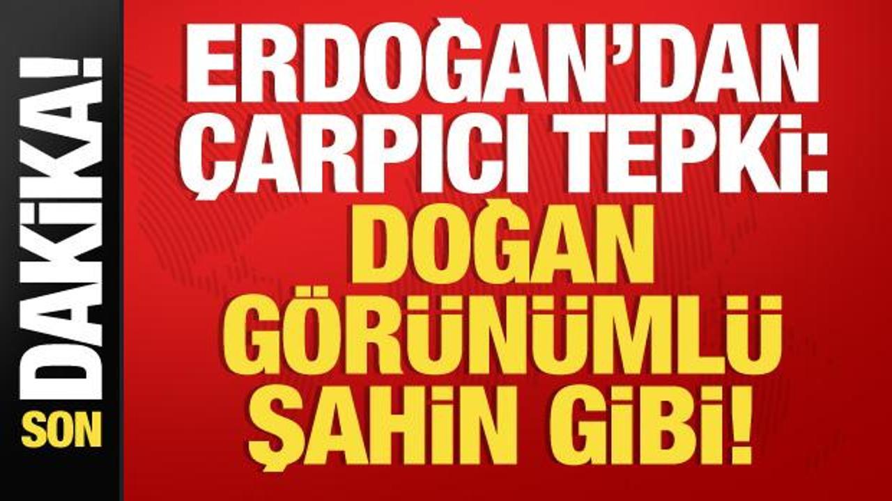 Erdoğan'dan çarpıcı tepki: Doğan görünümlü şahin gibi!